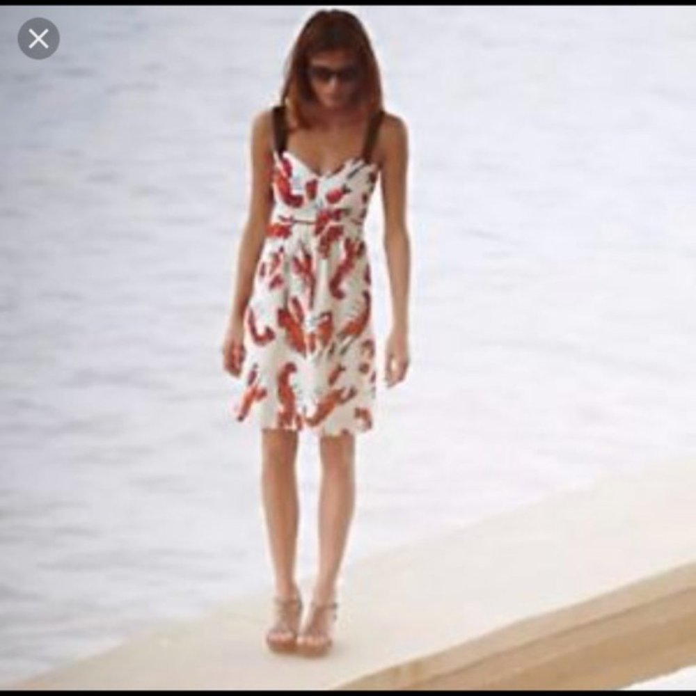 Anthropologie Cream Mini Dress with lobster Pattern